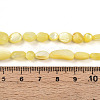 Natural White Shell Beads Strands SHEL-N036-21H-4