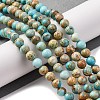 Dyed Natural Regalite/Imperial Jasper/Sea Sediment Jasper Beads Strands X-G-B124-C02-03-2