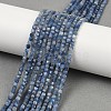 Natural Kyanite Beads Strands G-B088-E24-03A-1