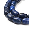Natural Lapis Lazuli Beads Strands G-H319-A01-01-3