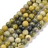 Natural Yellow Turquoise(Jasper) Beads Strands G-Q462-6mm-22-1