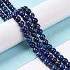Natural Lapis Lazuli Beads Strands G-P348-01-6mm-4