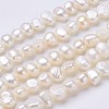 Natural Cultured Freshwater Pearl Beads Strands PEAR-P002-42-1