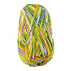 Light Gradient Segment Dyed Polyester Yarn DIY-TADJ0002-005A-2