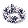 Shell Pearl Beads Strands BSHE-L035-E04-3