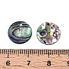 Natural Paua Shell Disc Charms SSHEL-N040-19A-3