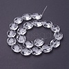 Glass Bead Strands GLAA-R196-24x20mm-01-2