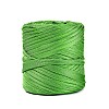 Polyester Ribbons OCOR-N011-01A-07-1