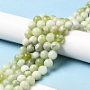 Natural New Jade Beads Strands G-K340-A01-03-2
