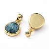 Natural Apatite Charms G-L553-47G-3
