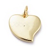 Enamel Charms KK-G363-46G-3