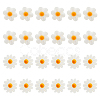 24Pcs 2 Styles Natural Freshwater Shell Beads SHEL-HS0001-05-1