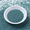 MIYUKI Delica Beads X-SEED-J020-DB1283-2