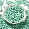 Baking Paint Glass Seed Beads SEED-K009-01A-05-2