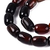 Natural Agate Beads Strands G-N356-02B-02-3