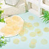 50Pcs Dyed Natural Capiz Shell Connector Charms BSHE-TA0001-20C-5