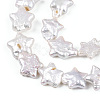 Natural Nucleated Baroque Keshi Pearl Beads Strands PEAR-S020-Z03-5