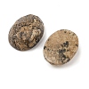 Natural Picture Jasper Cabochons G-Q186-01B-2