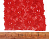 Stretch Elastic Lace Trim OCOR-TAC0006-02H-6