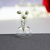 Transparent Miniature Glass Vase Bottles BOTT-PW0006-04H-1