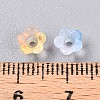 Frosted Transparent Acrylic Beads OACR-N137-72F-4