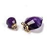 Natural Amethyst Perfume Bottle Pendants G-D058-11G-07-3