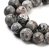 Natural Map Stone/Picasso Stone/Picasso Jasper Strands X-G-G099-10mm-27-4