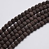 Natural Lava Rock Round Bead Strands G-I124-10mm-M-2