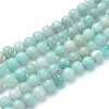 Natural Amazonite Beads Strands X-G-T055-6mm-17-1
