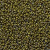 MIYUKI Round Rocailles Beads SEED-X0057-RR4519-3