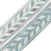 Embroidery Polyester Ribbon LS-OCOR-WH0033-88C-2