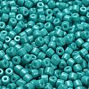 Baking Paint Pearlized Glass Seed Beads SEED-C001-04A-06-3