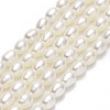 Natural Cultured Freshwater Pearl Beads Strands PEAR-J006-03A-1