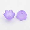 Transparent Acrylic Beads FACR-R017-01-1