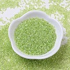 MIYUKI Delica Beads Small X-SEED-J020-DBS0174-2