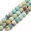 Natural Frosted Flower Amazonite Round Bead Strands G-M064-10mm-07-1