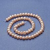 Natural Cultured Freshwater Pearl Beads Strands PEAR-P060-07-01-2