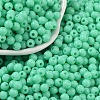 Opaque Acrylic Beads SACR-A007-01C-23-1