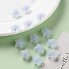 Transparent Acrylic Beads X-TACR-S152-02C-SS2113-6