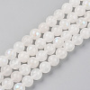 Electroplated Natural White Moonstone Beads Strands G-S369-012C-C-1