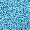 Glass Seed Beads SEED-A010-2mm-43-2