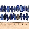 Natural Lapis Lazuli Beads Strands G-K393-B05-5