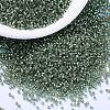 MIYUKI Delica Beads X-SEED-J020-DB2165-1