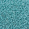 MIYUKI Delica Beads SEED-X0054-DB0878-2