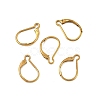 Ion Plating(IP) 304 Stainless Steel Leverback Earring Findings STAS-K233-04G-01A-1