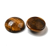 Natural Tiger Eye Cabochons G-C115-02A-36-2