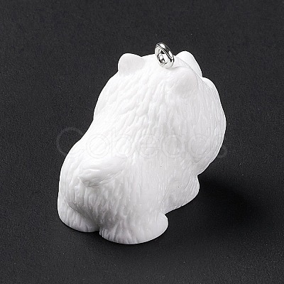 Opaque Resin Pendants RESI-E032-01P-05-1