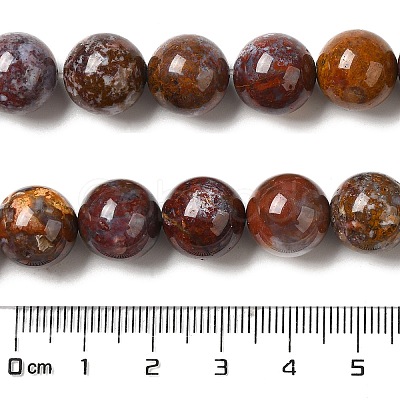 Natural Ocean Jasper Beads Strands G-H298-A13-05-1