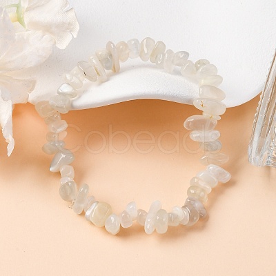Natural White Moonstone Stretch Bracelets BJEW-JB03681-09-1