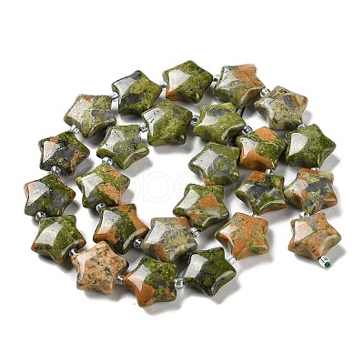 Natural Unakite Beads Strands G-NH0005-014-1